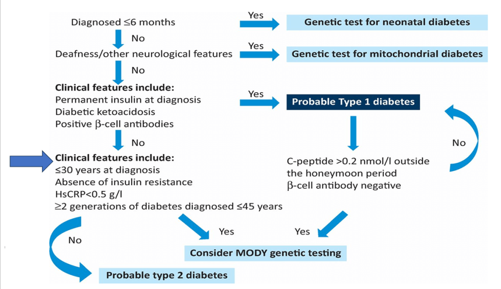 Lean Diabetes - What Physicians Must Know?