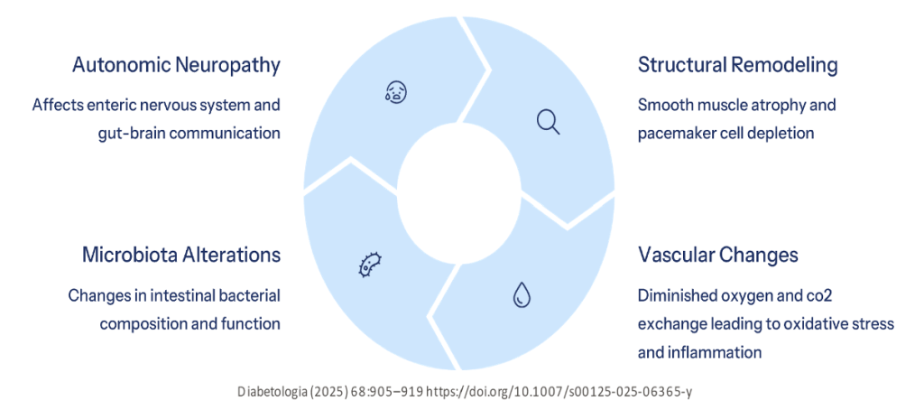 Diabetic Gastroenteropathy: A Pan-Alimentary Complication