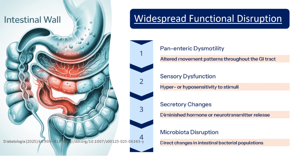Diabetic Gastroenteropathy: A Pan-Alimentary Complication