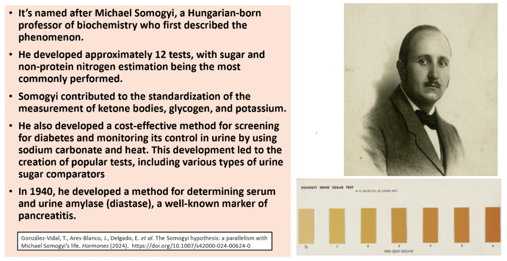 Somogyi Phenomenon: Fact or Fiction?