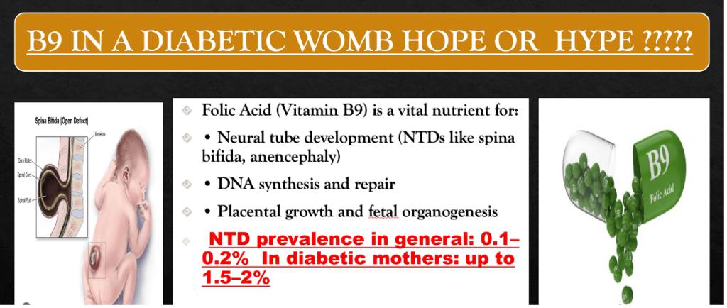 Physician’s Essentials of Medications in Pregnancy with Diabetes