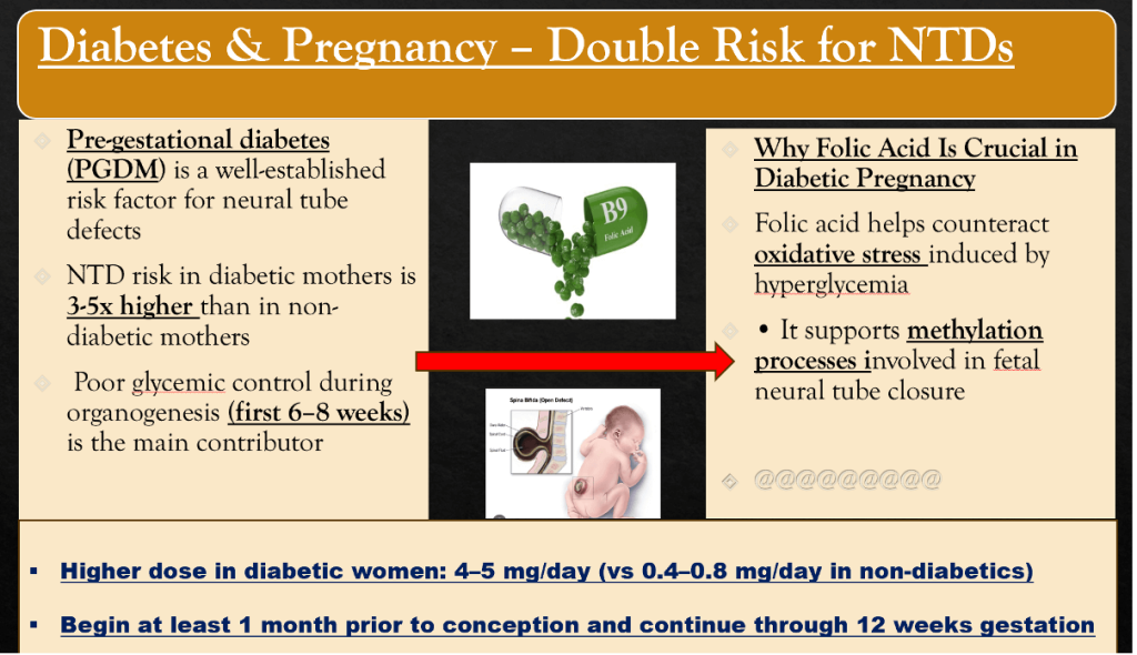 Physician’s Essentials of Medications in Pregnancy with Diabetes