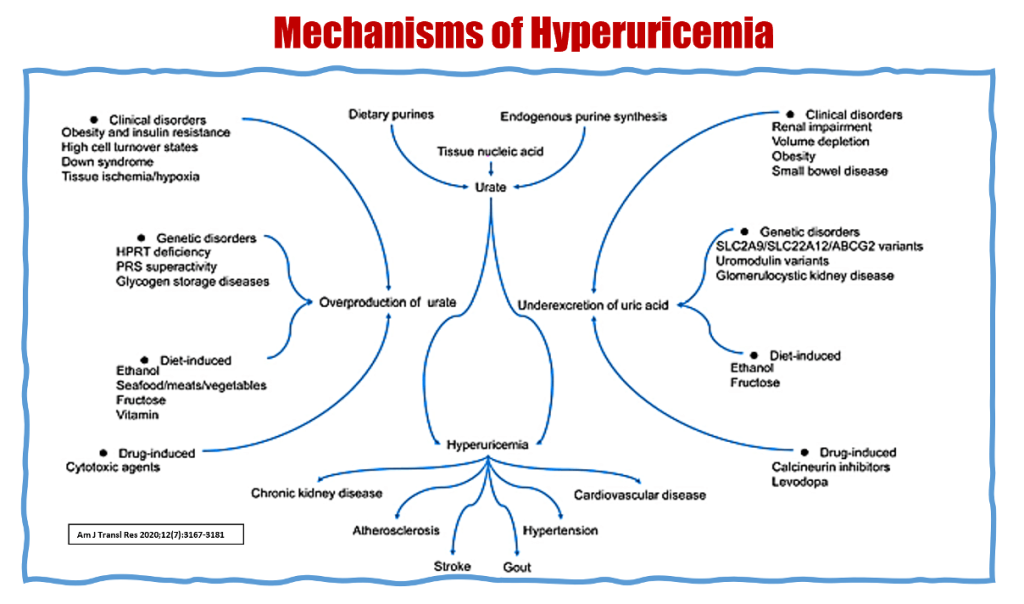 Should We Treat Asymptomatic Hyperuricemia? – Revisiting an Old Dilemma with New Evidence