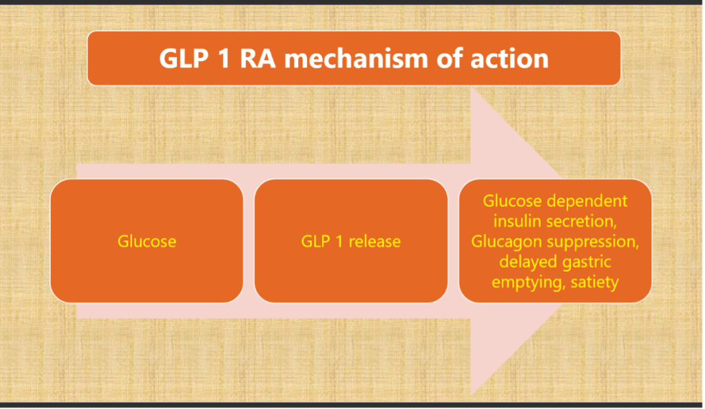 What Physicians need to know about GLP-1 Receptor Agonists in Pregnancy?