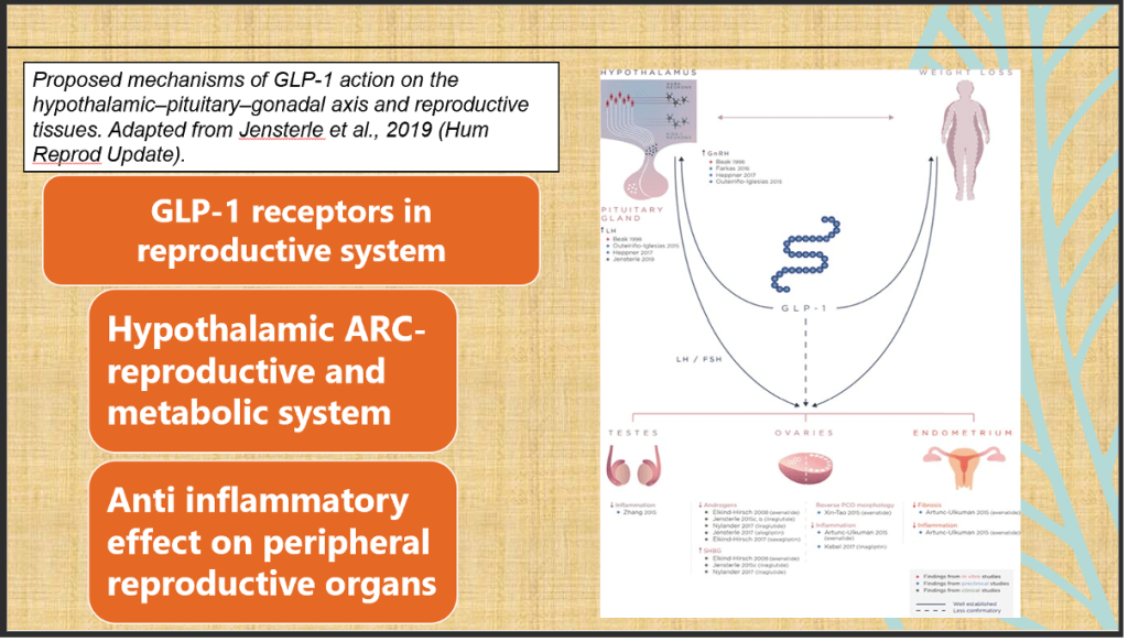 What Physicians need to know about GLP-1 Receptor Agonists in Pregnancy?