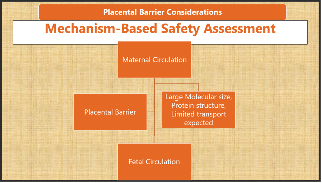 What Physicians need to know about GLP-1 Receptor Agonists in Pregnancy?