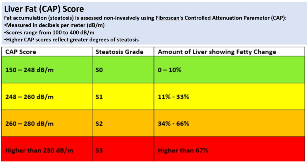 Essentials Of Fibroscan Interpretation By Physicians CME INDIA Essentials Of Fibroscan Interpretation By Physicians CME INDIA