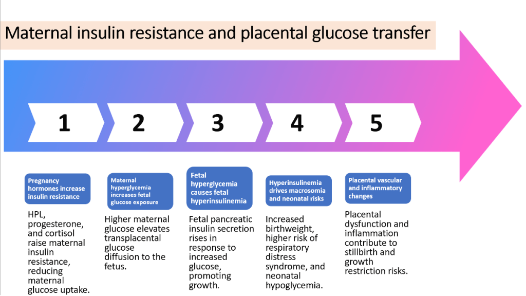 Hyperglycemia in Pregnancy: Physician Essentials on Maternal & Neonatal Outcomes
