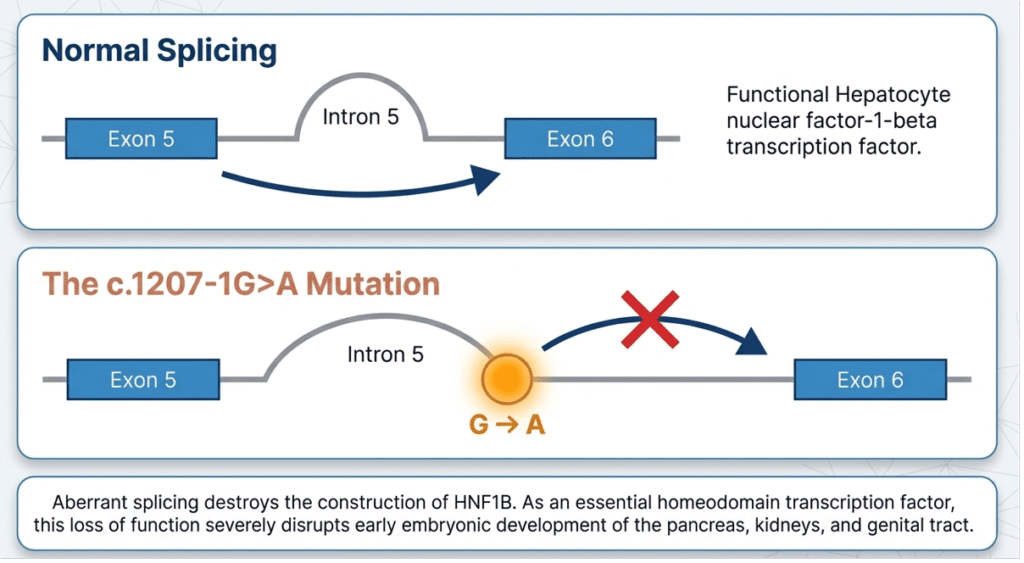 An 8-Year-9-Month-Old Boy Presenting as Severe Diabetic Ketoacidosis