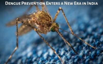Dengue Prevention Enters a New Era in India
