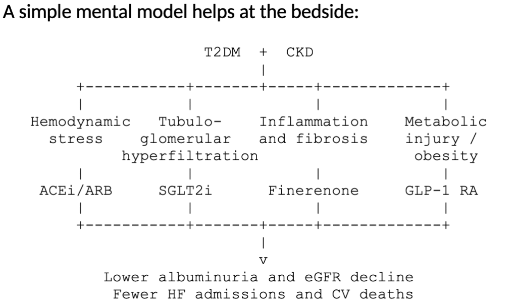 From Detection to Protection: Timely Triple, Obligatory Quadruple Therapy in T2DM with CKD