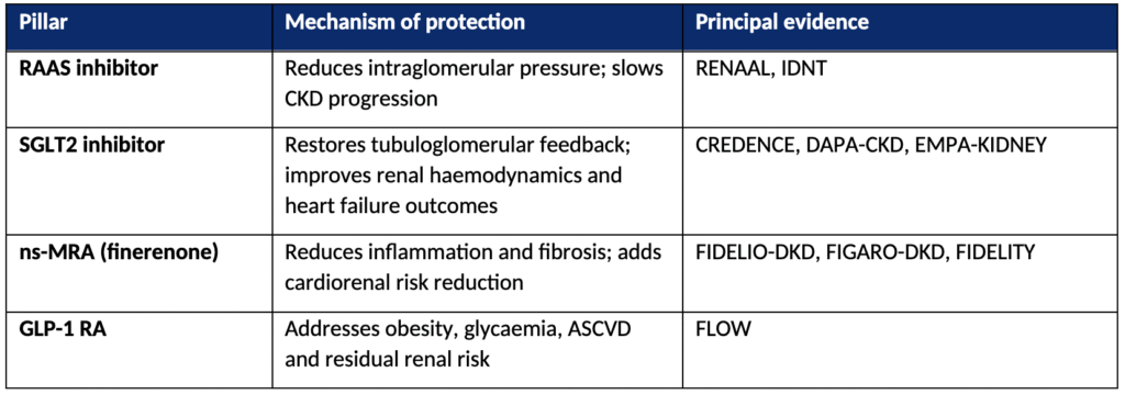 From Detection to Protection: Timely Triple, Obligatory Quadruple Therapy in T2DM with CKD