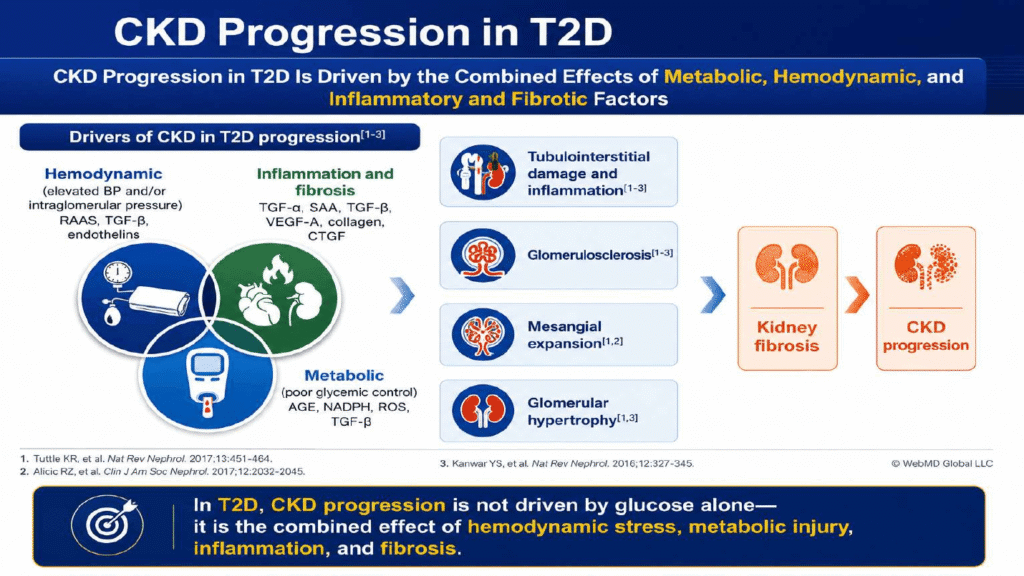 From Detection to Protection: Timely Triple, Obligatory Quadruple Therapy in T2DM with CKD
