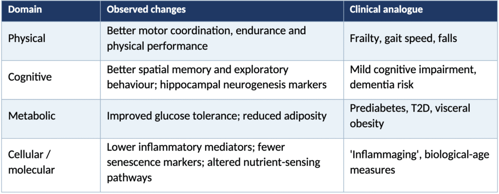Could Semaglutide Become a Lifespan-Enhancing Medicine? Interpreting the 2026 Late-Life Mouse Longevity Data Through a Geroscience Lens