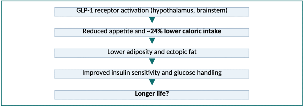 Could Semaglutide Become a Lifespan-Enhancing Medicine? Interpreting the 2026 Late-Life Mouse Longevity Data Through a Geroscience Lens