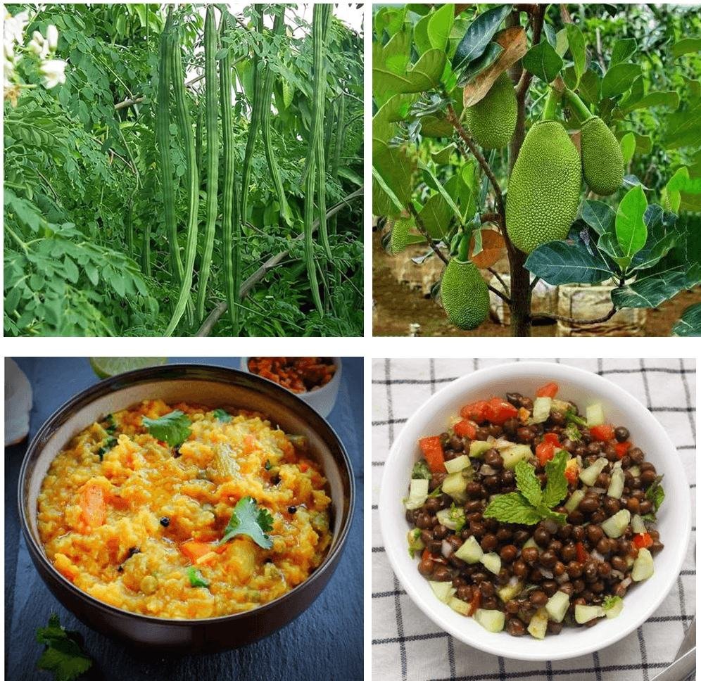 “Smart Foods” versus “Superfoods” in T2DM - The Answer is Already in the Indian Kitchen