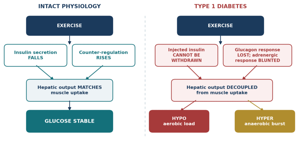 Type 1 Diabetes is Not a Ceiling: Exercise Physiology, Glycaemic Management and the Prognostic Conversation