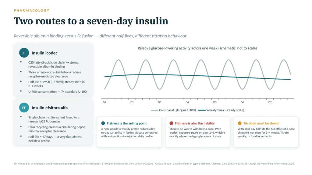 Newer Insulins: Pros and Cons – A Clinical Review